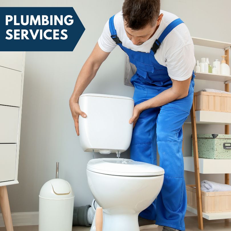 Plumbing Company in Muir, MI